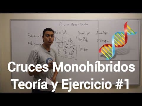 Cruces Monohíbridos | Dominancia Incompleta - Ejercicio #3
