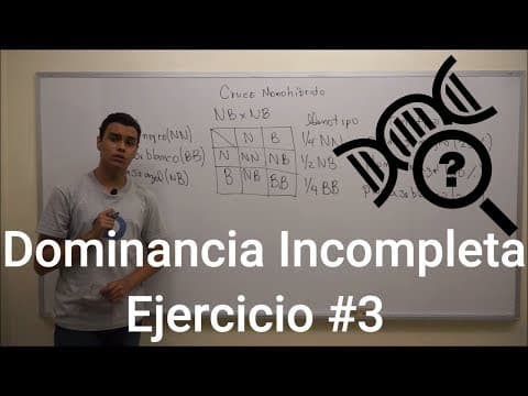 Cruces Monohíbridos | Dominancia Incompleta - Ejercicio #4
