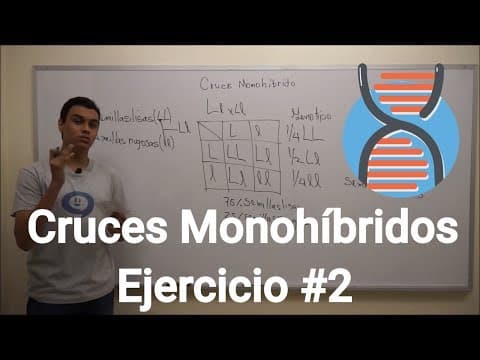 Cruces Monohíbridos | Ejercicio #2
