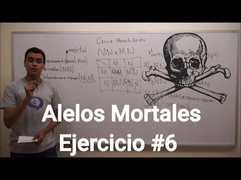 Cruces Monohíbridos | Alelos Mortales - Ejercicio #6
